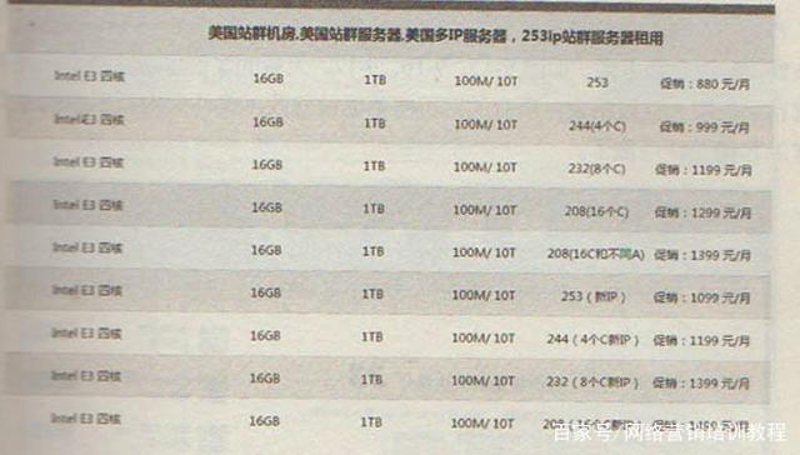 站群程序进化史：从铺量抢排名到AI全自动养站